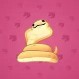 Pet Snake #2043 Pet Snake #2043