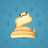 Pet Snake #2103 Pet Snake #2103