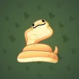 Pet Snake #2144