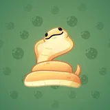 Pet Snake #23