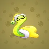 Pet Snake #2348