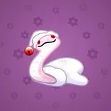 Pet Snake #2372