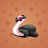 Pet Snake #2448 Pet Snake #2448
