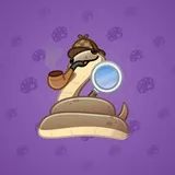 Pet Snake #2810