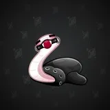 Pet Snake #335 Pet Snake #335