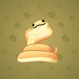 Pet Snake #3448