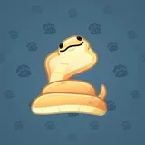 Pet Snake #3624 Pet Snake #3624
