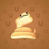 Pet Snake #4364 Pet Snake #4364