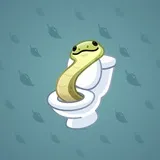 Pet Snake #4643