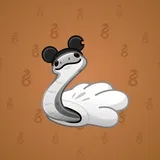 Pet Snake #4672