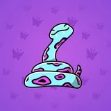 Pet Snake #4762