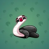 Pet Snake #4795 Pet Snake #4795