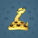 Pet Snake #5640