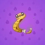 Pet Snake #6137
