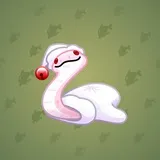 Pet Snake #6179