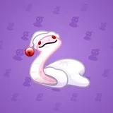 Pet Snake #6340