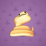 Pet Snake #6692 Pet Snake #6692