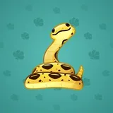 Pet Snake #6846 Pet Snake #6846