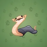 Pet Snake #6947 Pet Snake #6947