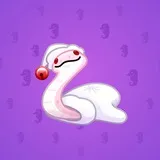 Pet Snake #7752