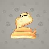 Pet Snake #7890