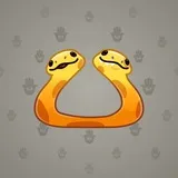 Pet Snake #797