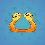Pet Snake #8231