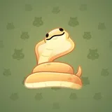 Pet Snake #8442