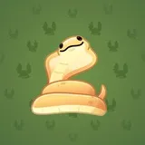 Pet Snake #8926