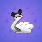 Pet Snake #9034