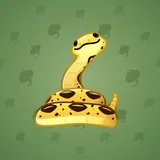 Pet Snake #9043