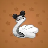 Pet Snake #9786