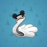 Pet Snake #9860