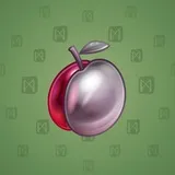 Precious Peach #1147 Precious Peach #1147