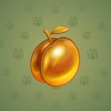 Precious Peach #1207