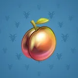 Precious Peach #1219