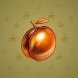 Precious Peach #1395