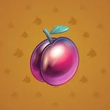 Precious Peach #1447