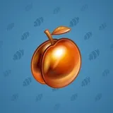 Precious Peach #145 Precious Peach #145