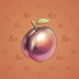 Precious Peach #1490 Precious Peach #1490