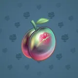 Precious Peach #1494