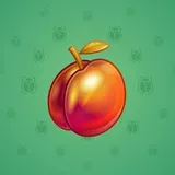 Precious Peach #1510