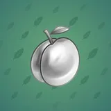 Precious Peach #1516