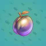 Precious Peach #1579