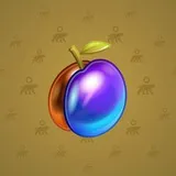 Precious Peach #1614