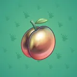 Precious Peach #1666