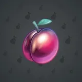 Precious Peach #174 Precious Peach #174