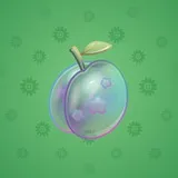 Precious Peach #1760