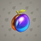 Precious Peach #1800 Precious Peach #1800
