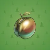 Precious Peach #1844 Precious Peach #1844
